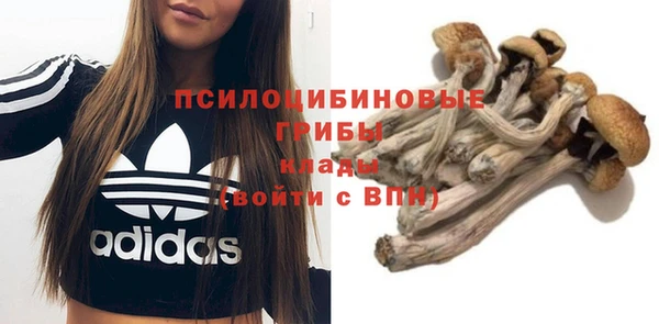 экстази Армянск