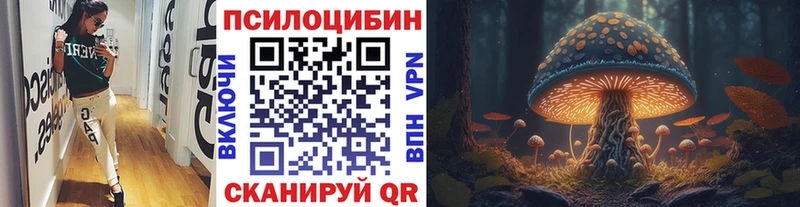 Псилоцибиновые грибы Magic Shrooms  где можно купить наркотик  Калач 